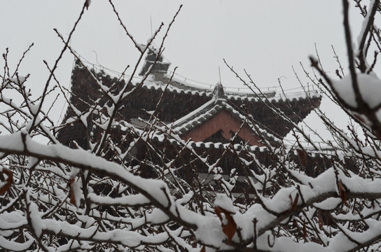 青龙寺