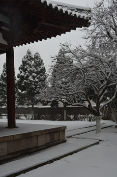 青龙寺