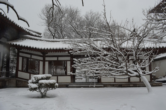 青龙寺