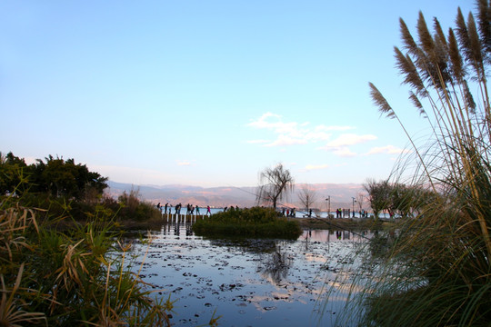 生态湿地