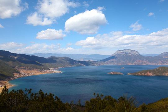 生态湿地