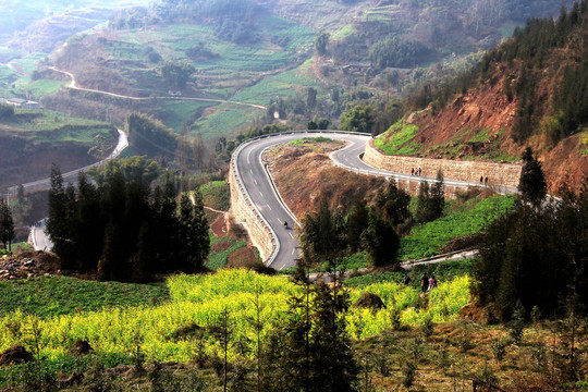 盘山公路