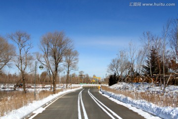 冬天 树枝 树木 冬季 公路