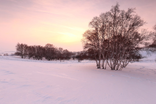 乌兰布统草原雪景