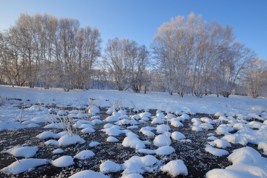 乌兰布统草原雪景