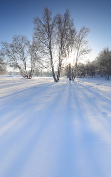 乌兰布统草原雪景