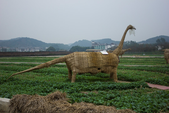 稻草艺术 恐龙