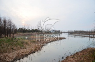 太湖湿地冬韵