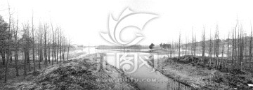 太湖湿地冬韵全景黑白照片