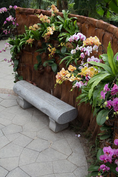 公园园艺兰花石凳