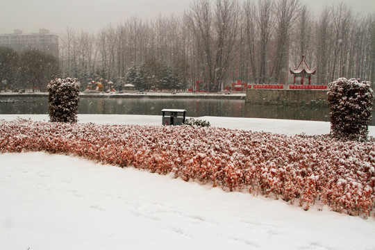 雪景