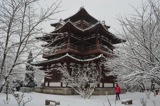 青龙寺