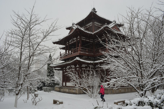 青龙寺