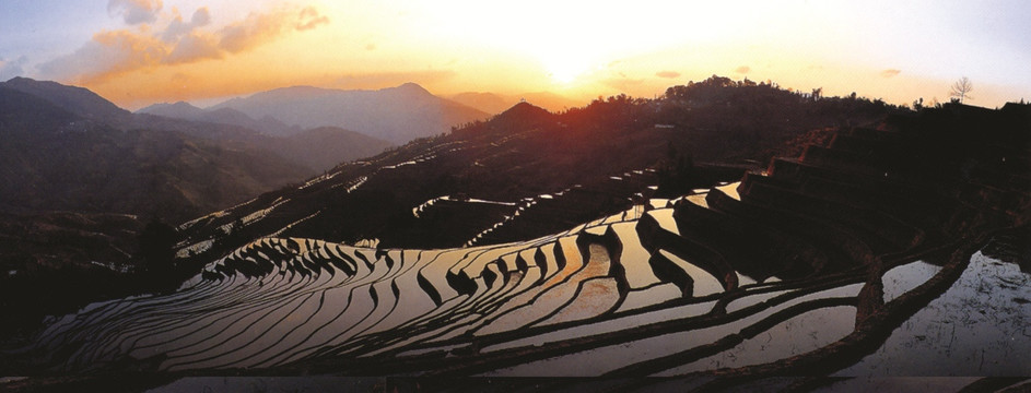 梯田 水田 山村梯田