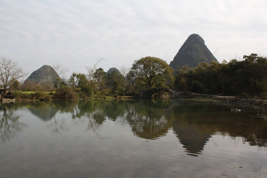 湿地风光