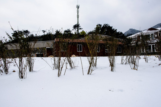 积雪