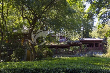 杭州永福寺