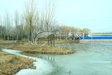 初春稻香湖