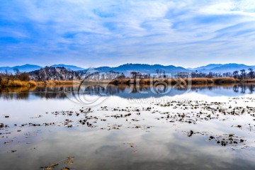 湖泊湿地