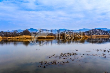 湖泊湿地