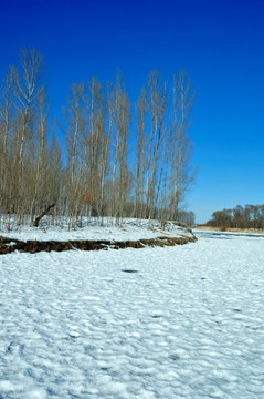 雪景冬林