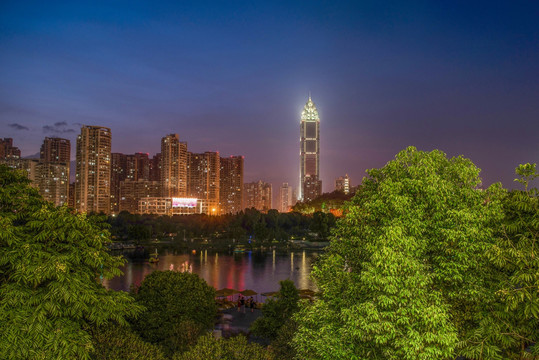 温州公园夜景