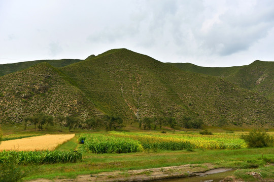 山峰