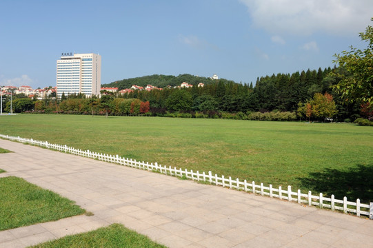 青岛中山公园草坪