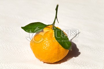 丑八怪橘子