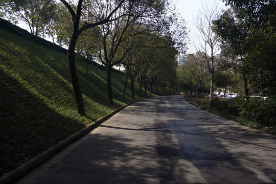 公园道路