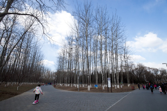 北京奥森公园