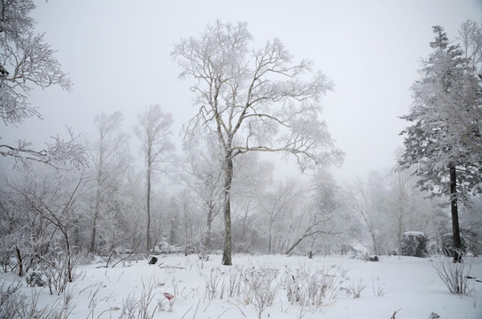 雪山