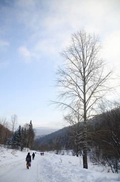 雪山里