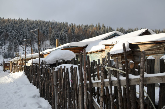 雪山里