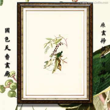 美克美家花鸟油画 高清品质