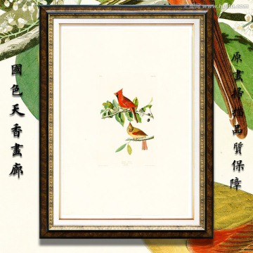 鸟类花卉油画 画廊高清品质