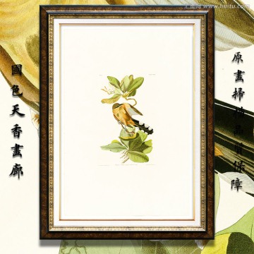 鸟类花卉油画 画廊高清品质