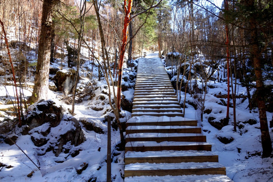 雪景 小路 石梯 森林