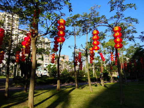 大红灯笼高高挂