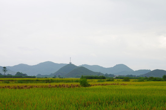 田园图片 田园素材