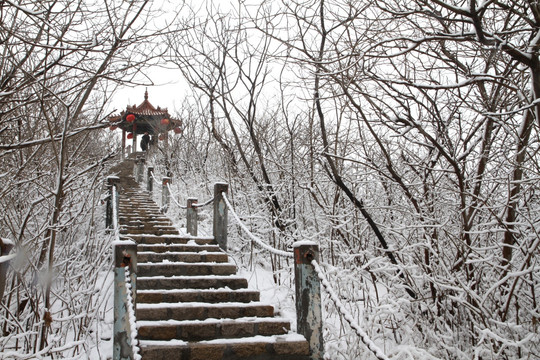 雪景