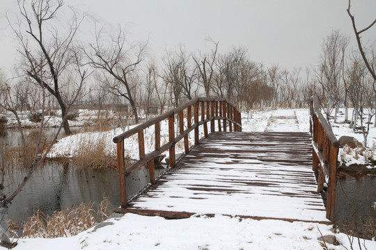 雪后小木桥