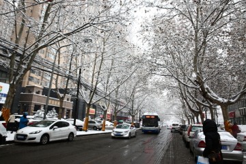 雪景