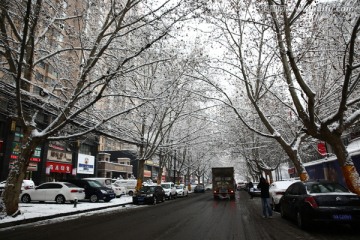 雪景