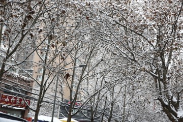 雪景