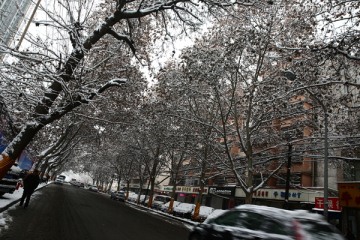 雪景