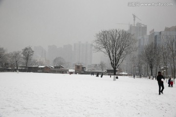 雪景