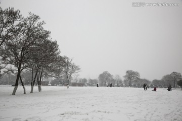 雪景