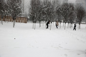 雪景
