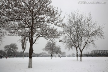 雪景